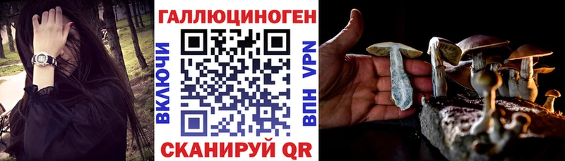 Псилоцибиновые грибы Psilocybe  купить наркотики цена  Заозёрск 
